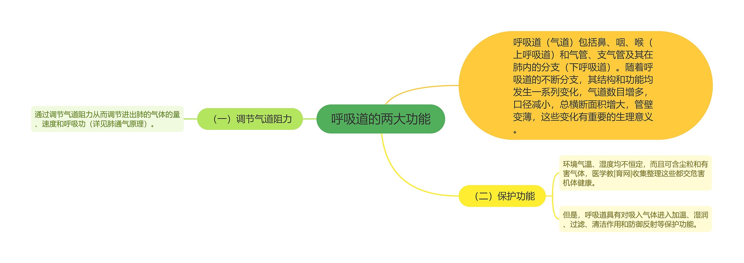 呼吸道的两大功能