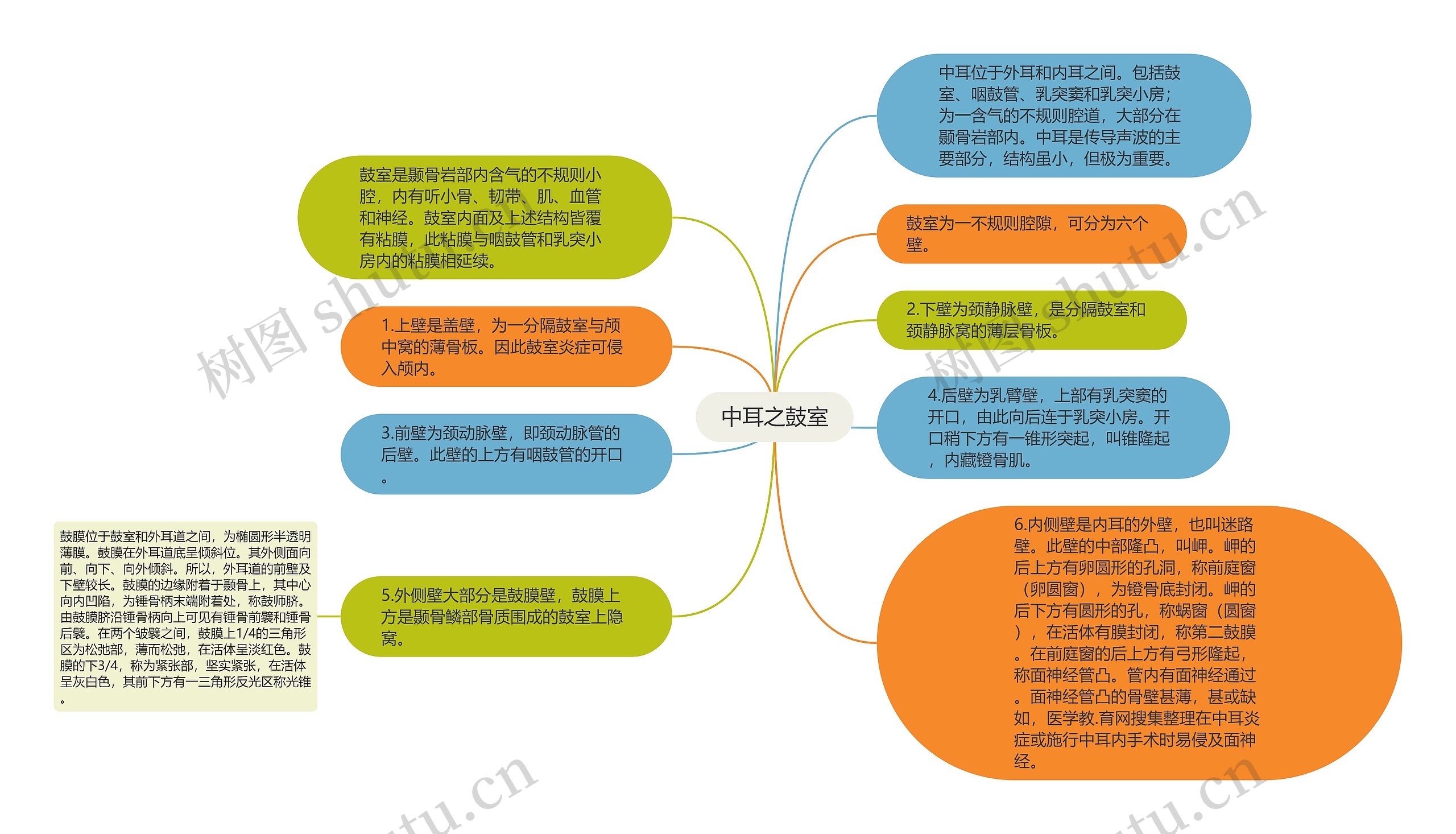 中耳之鼓室思维导图