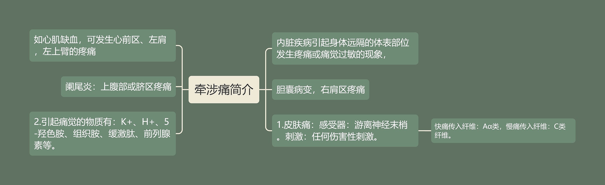 牵涉痛简介