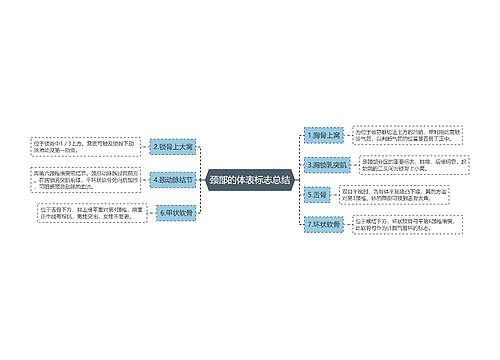 颈部的体表标志总结