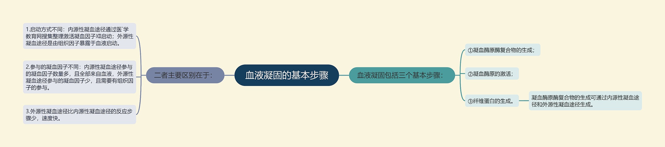 血液凝固的基本步骤思维导图高清图 血液凝固的基本步骤思维导图