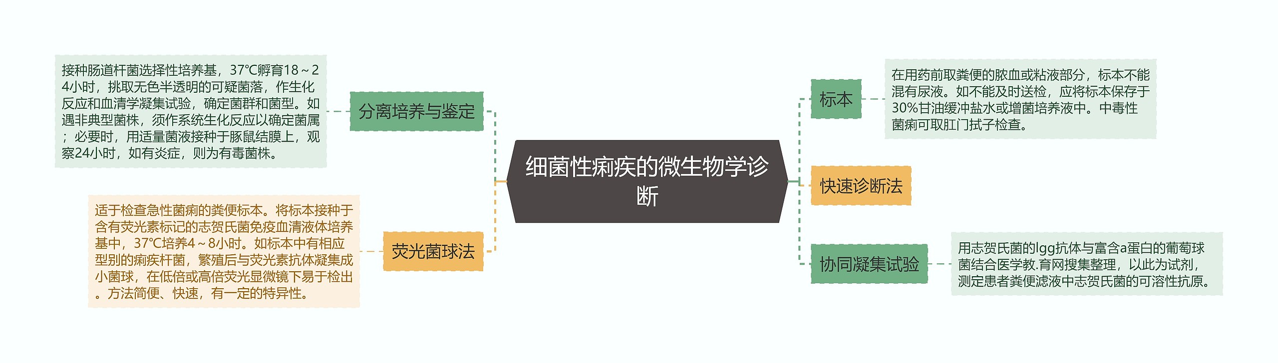 细菌性痢疾的微生物学诊断