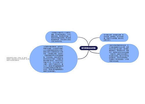 眼球壁膜或血管腹