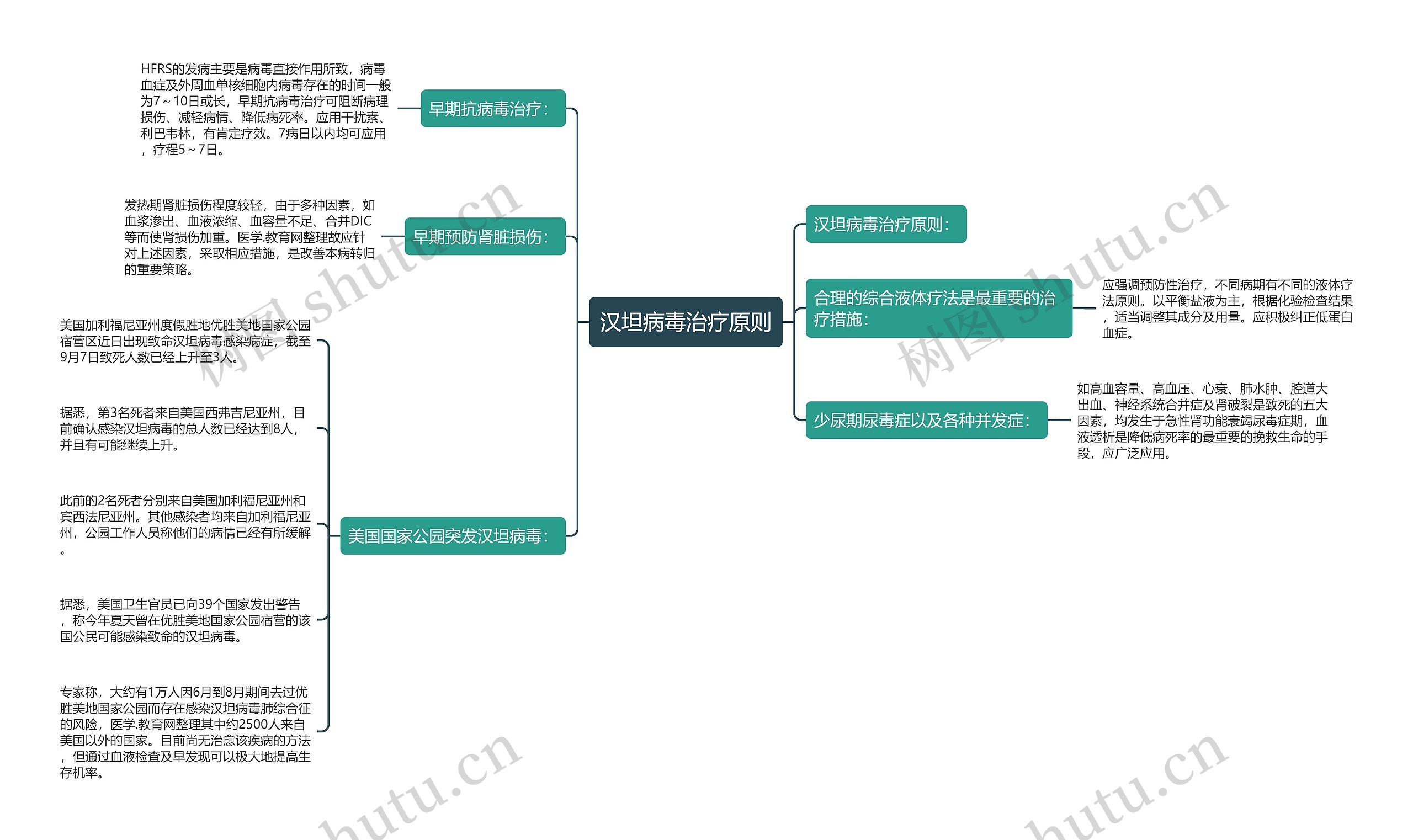 汉坦病毒治疗原则思维导图