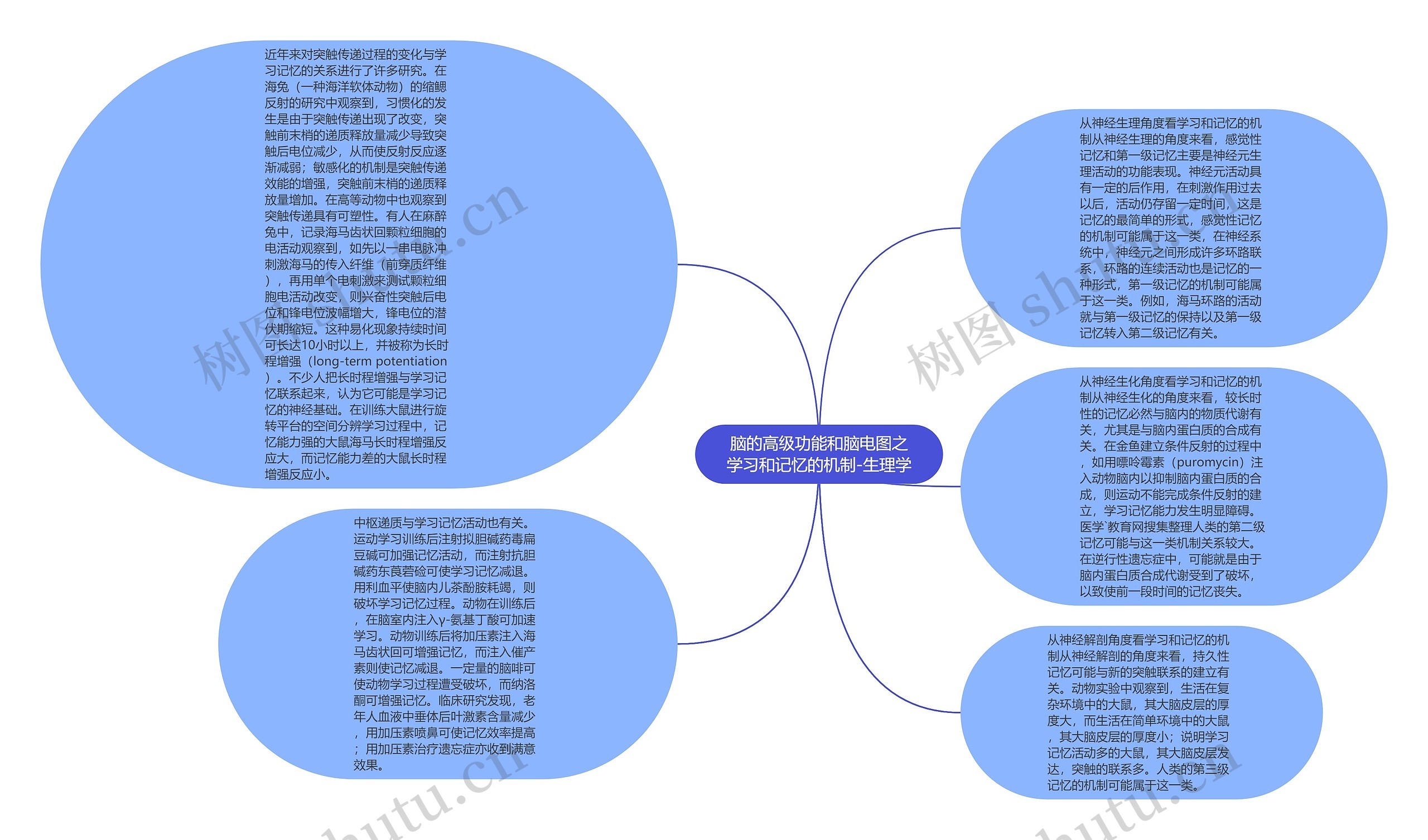 脑的高级功能和脑电图之学习和记忆的机制-生理学思维导图