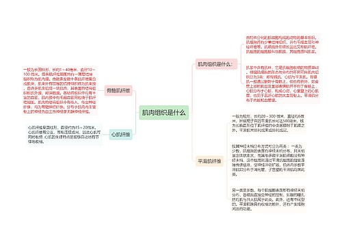 肌肉组织是什么