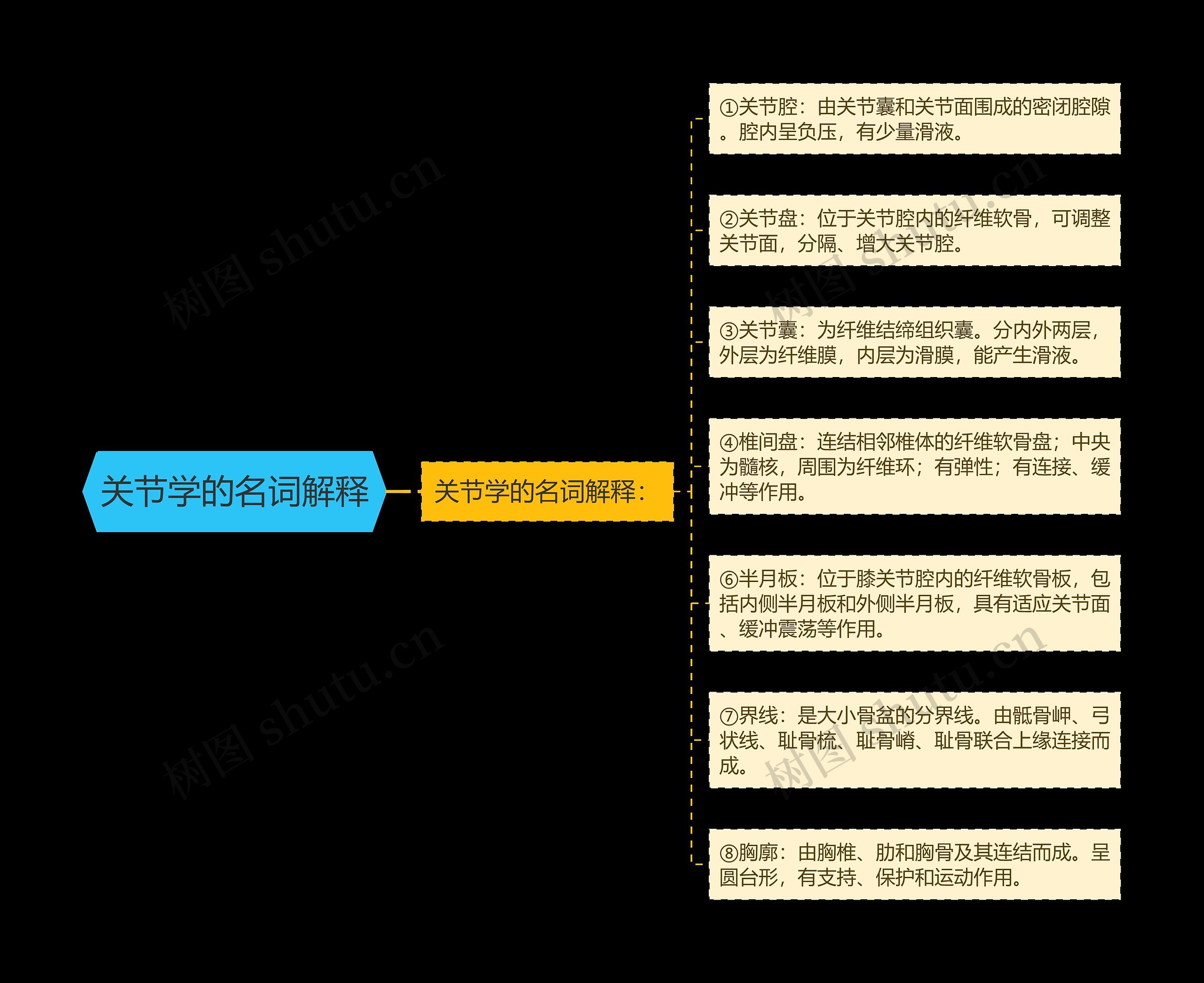 关节学的名词解释思维导图