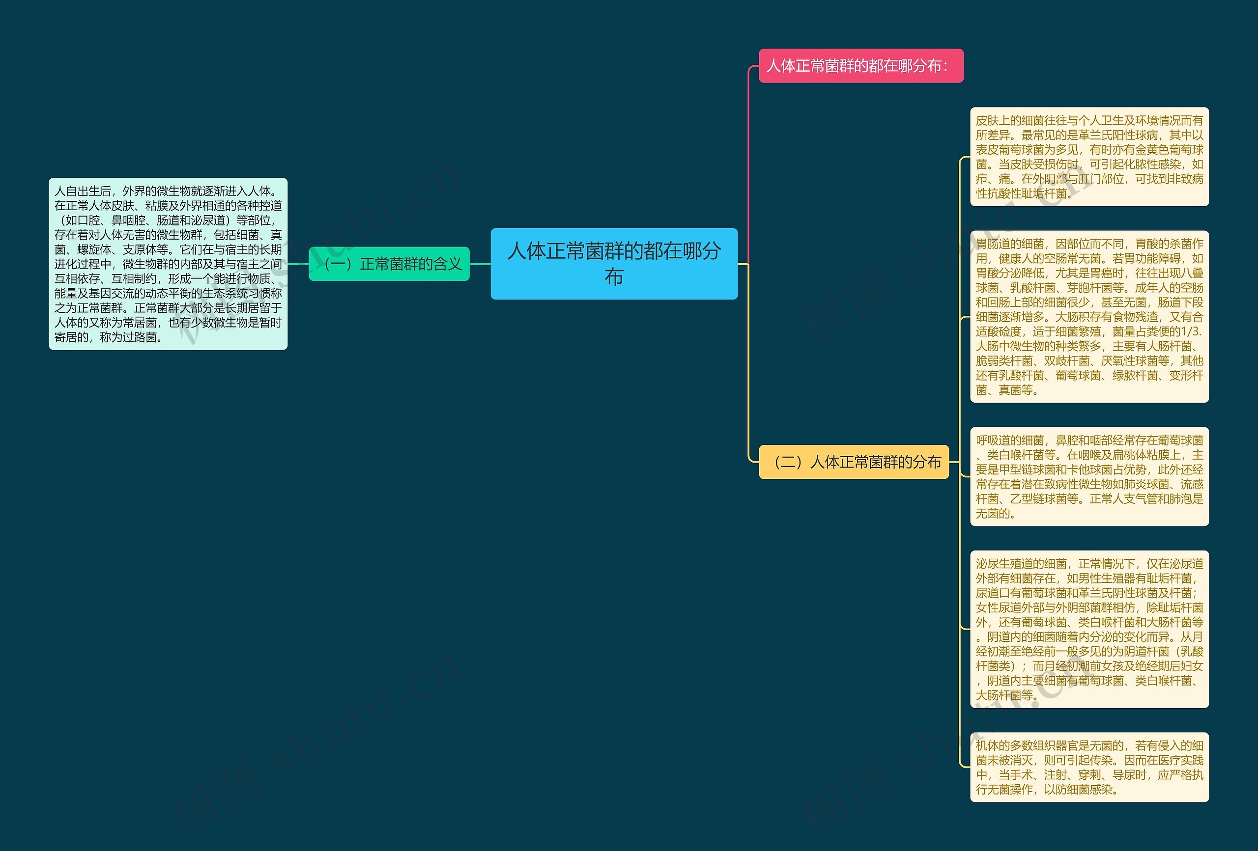 人体正常菌群的都在哪分布思维导图