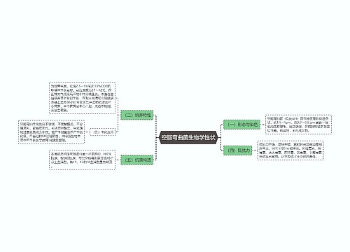 空肠弯曲菌生物学性状