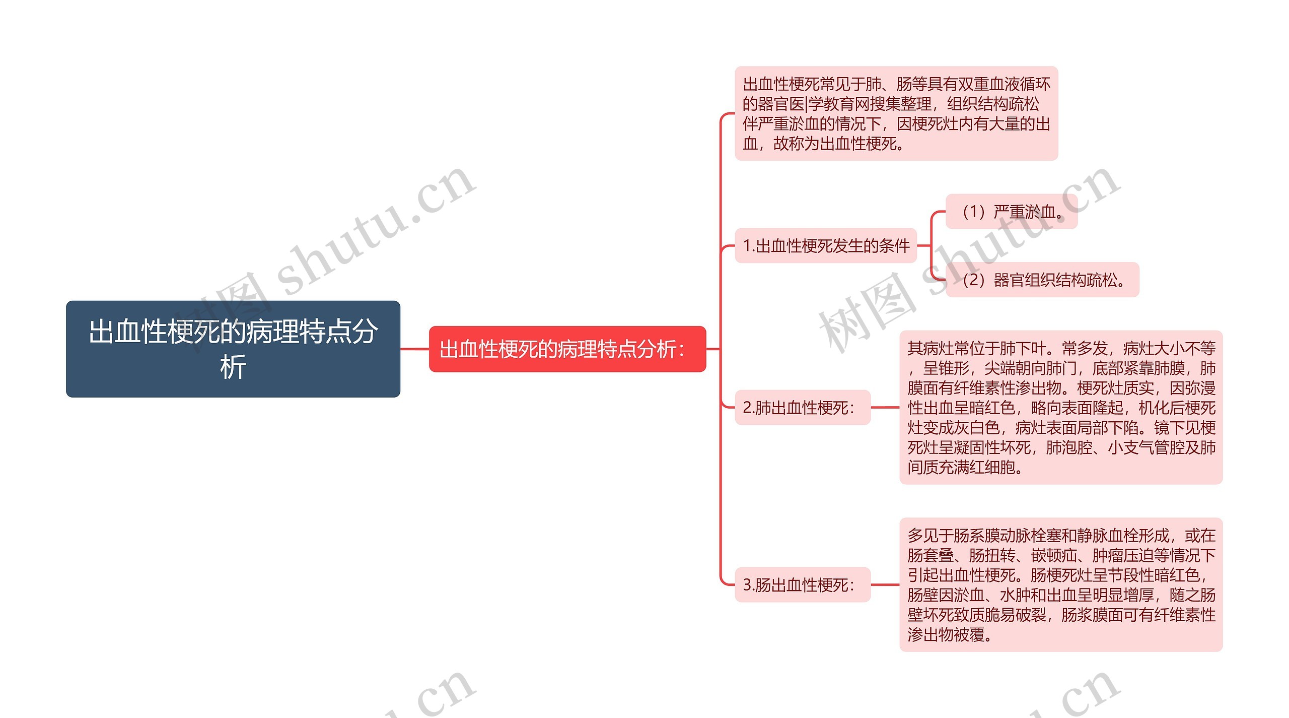 出血性梗死的病理特点分析思维导图