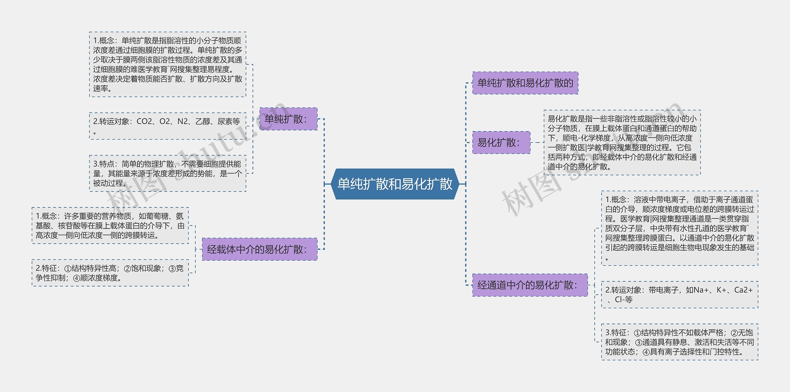 单纯扩散和易化扩散