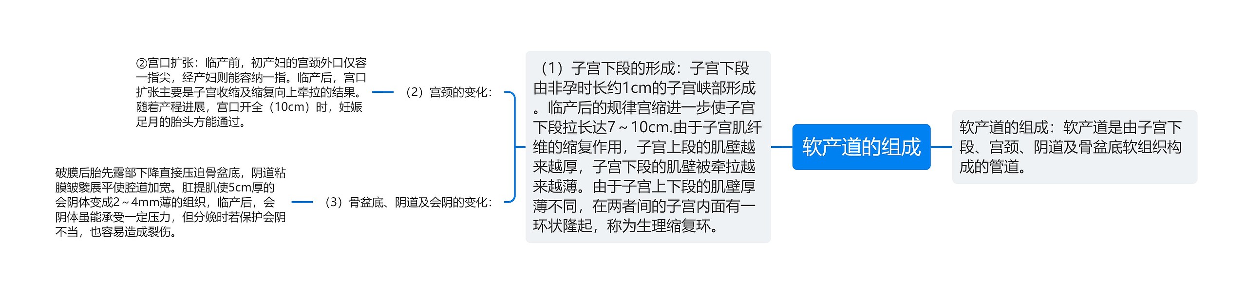 软产道的组成思维导图