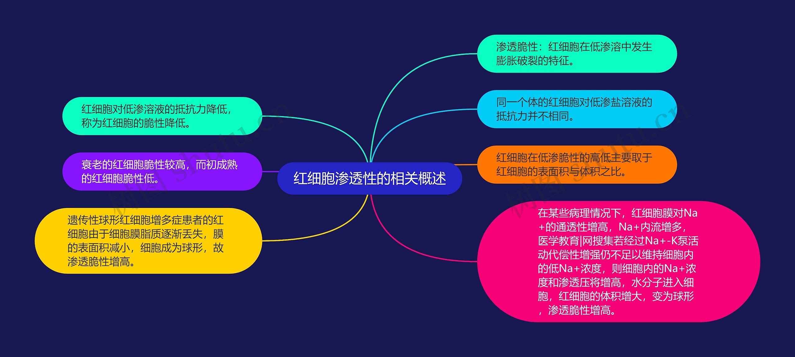 红细胞渗透性的相关概述 红细胞渗透性的相关概述