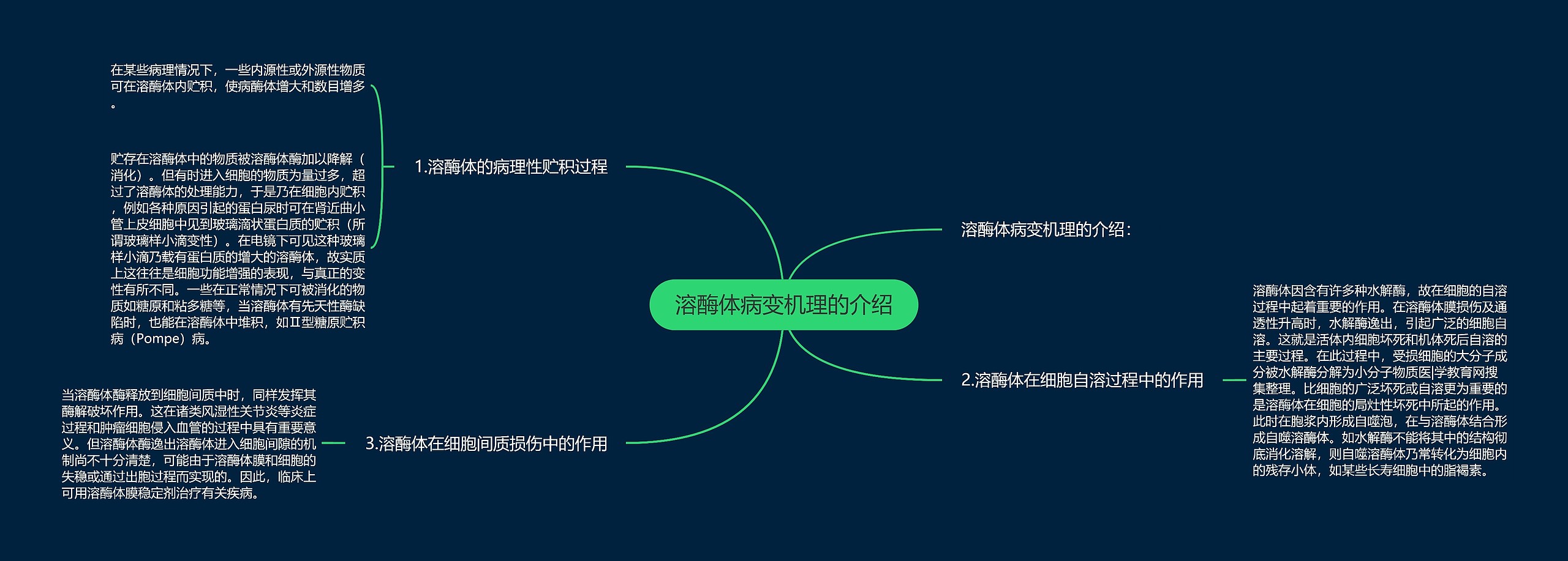 溶酶体病变机理的介绍