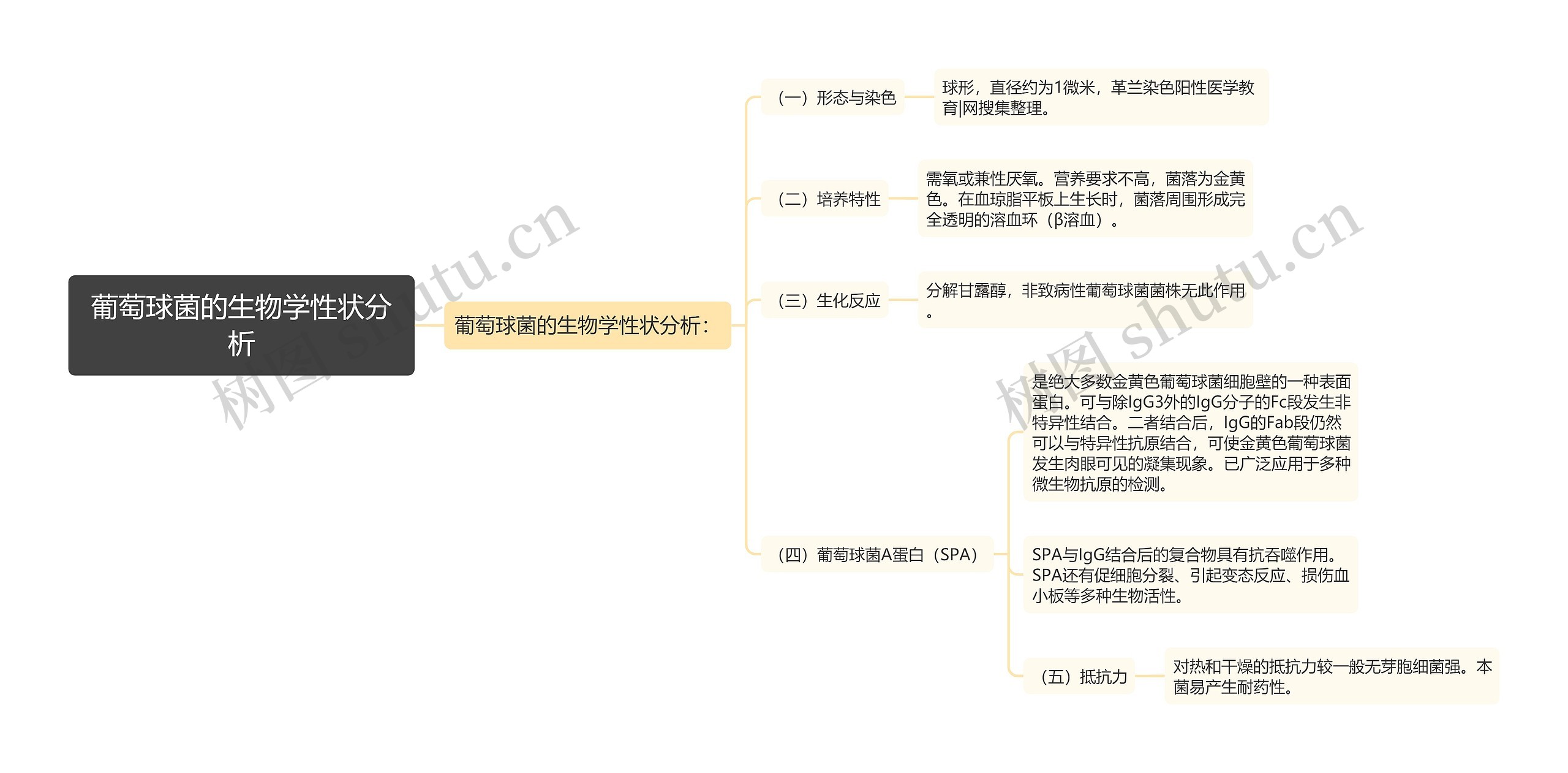 葡萄球菌的生物学性状分析