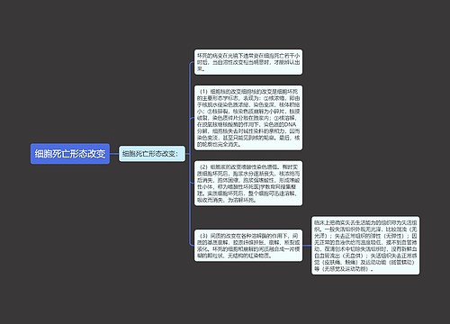 细胞死亡形态改变