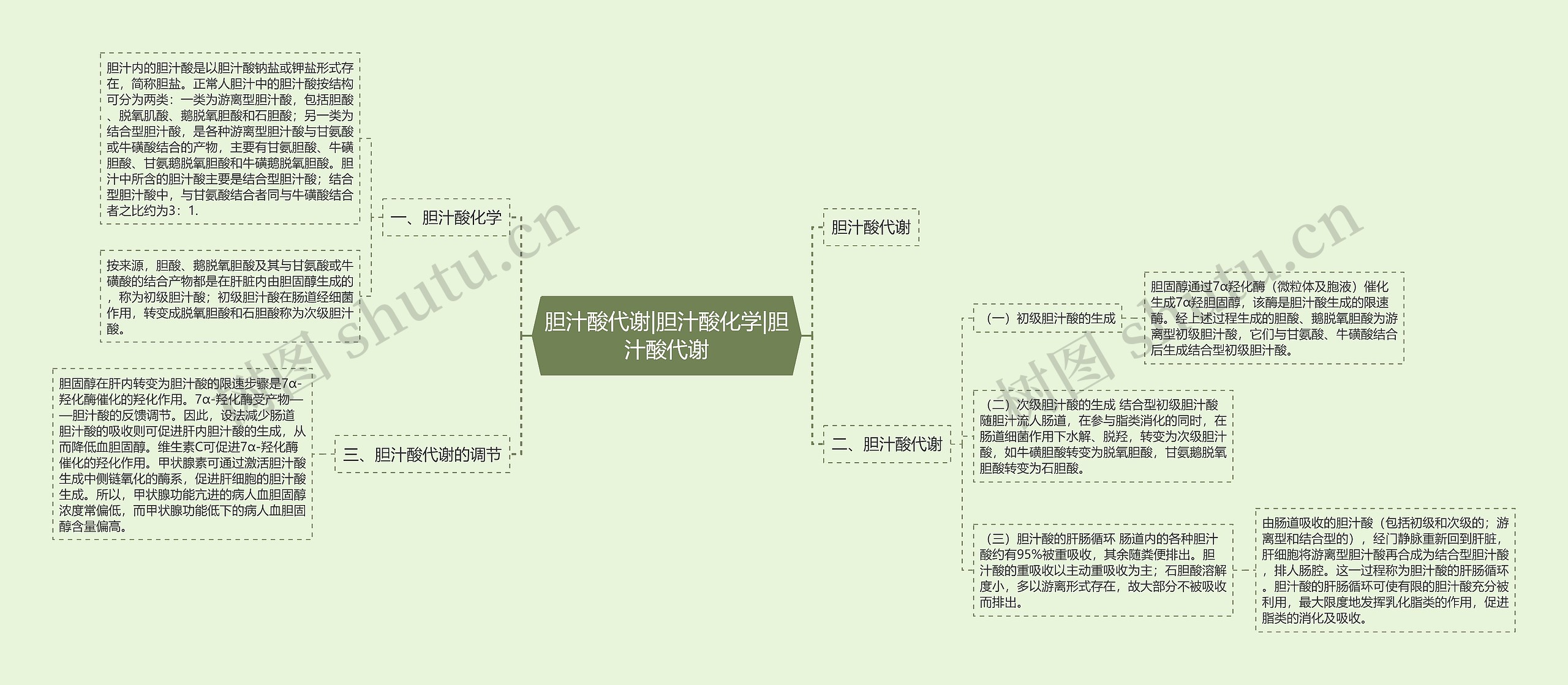 胆汁酸代谢|胆汁酸化学|胆汁酸代谢思维导图