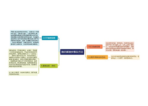 腋区解剖步骤及方法