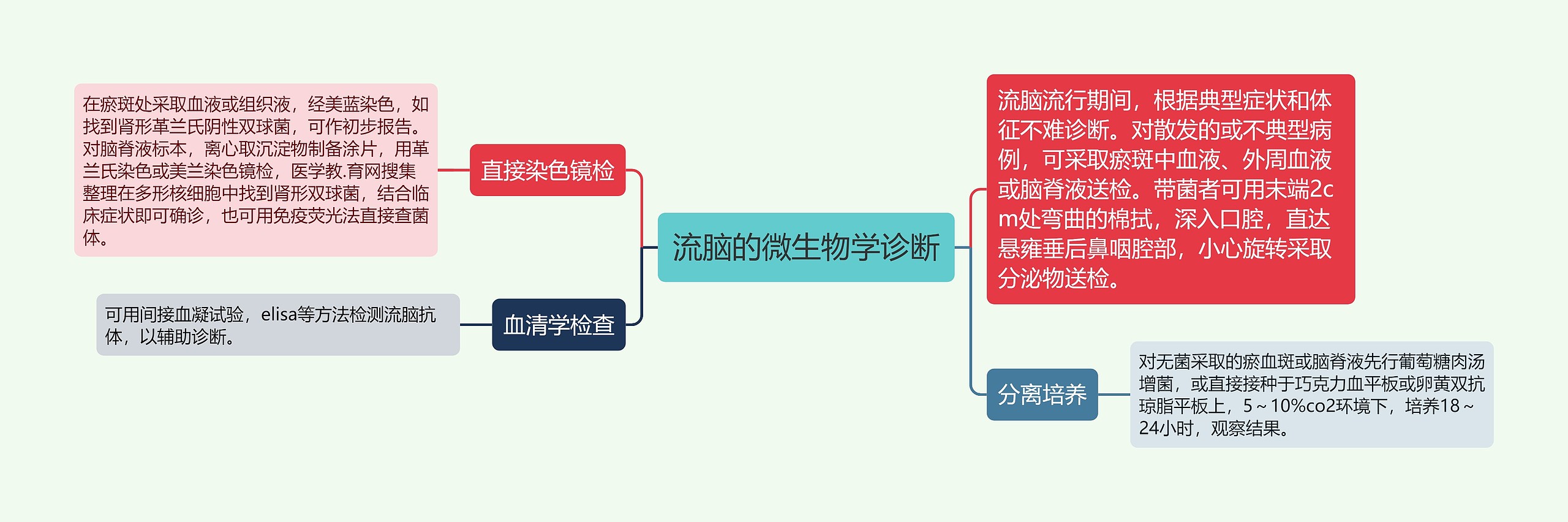 流脑的微生物学诊断思维导图