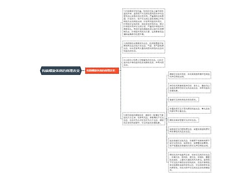 钩端螺旋体病的病理改变