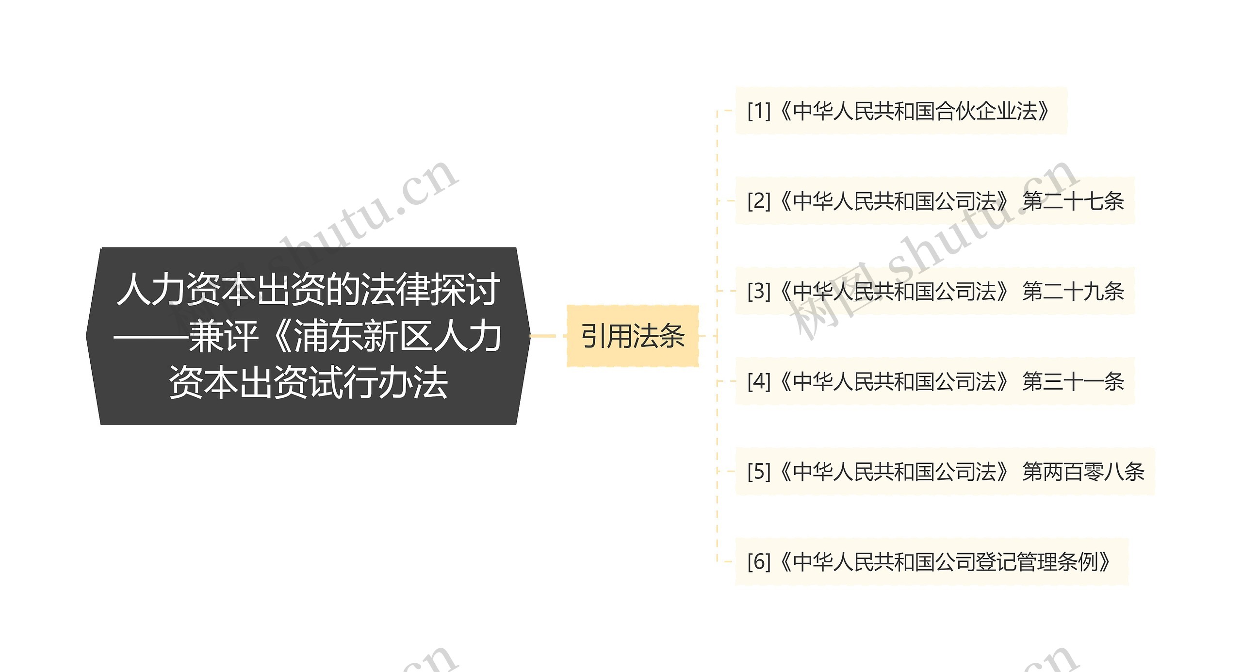 人力资本出资的法律探讨——兼评《浦东新区人力资本出资试行办法思维导图