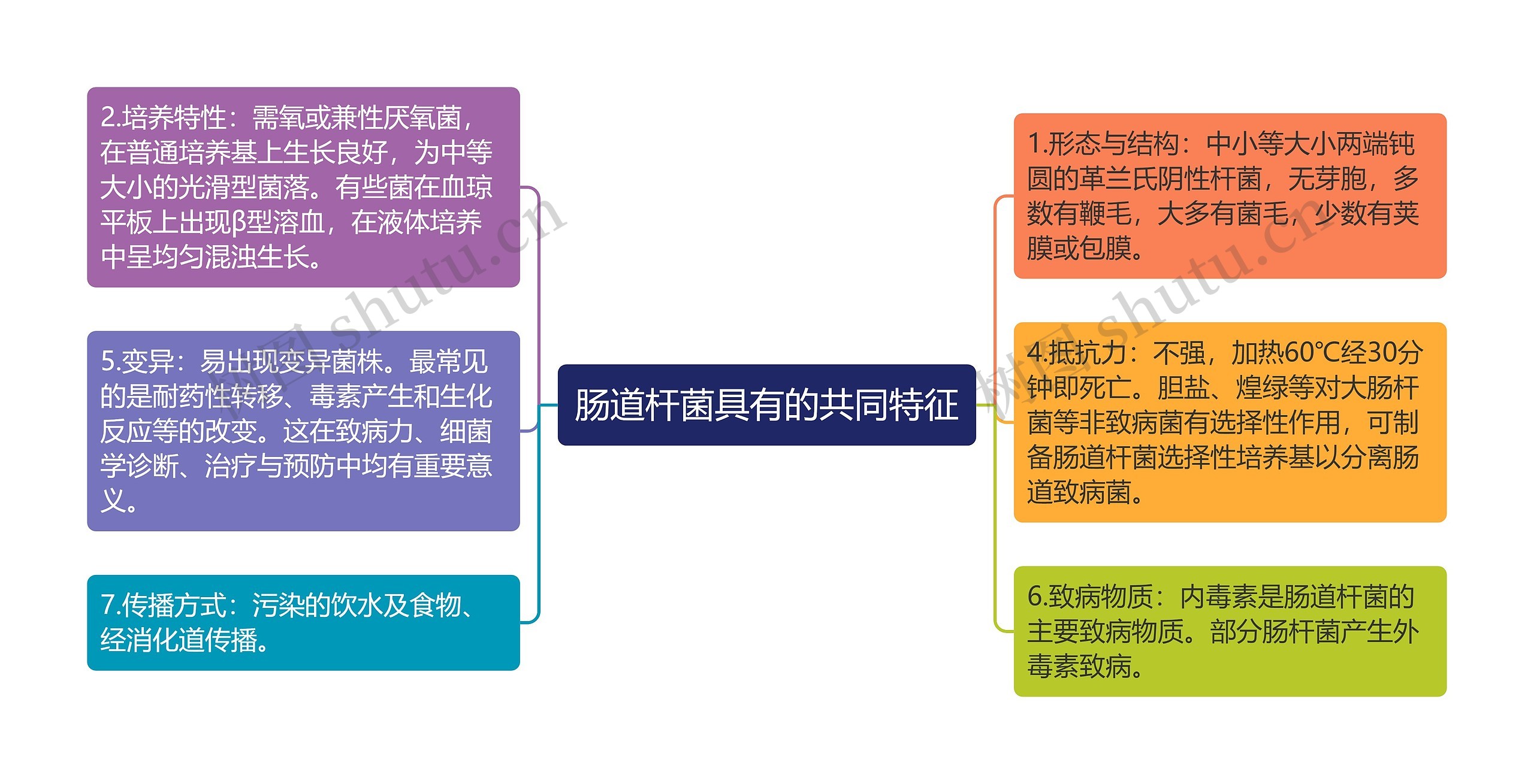 肠道杆菌具有的共同特征思维导图