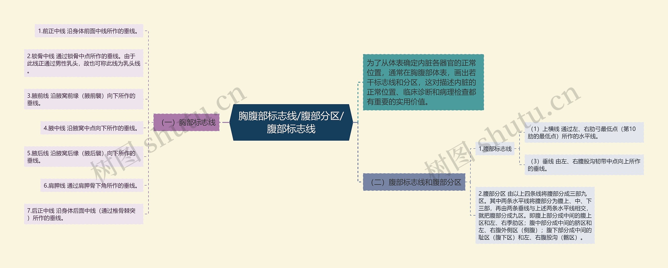 胸腹部标志线/腹部分区/腹部标志线 胸腹部标志线/腹部分区/腹部标志线