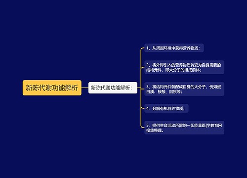 新陈代谢功能解析