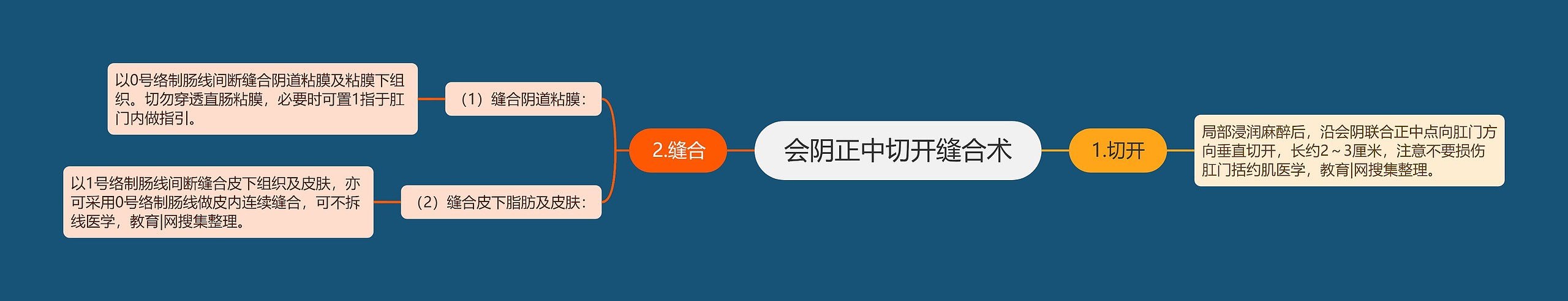 会阴正中切开缝合术 会阴正中切开缝合术