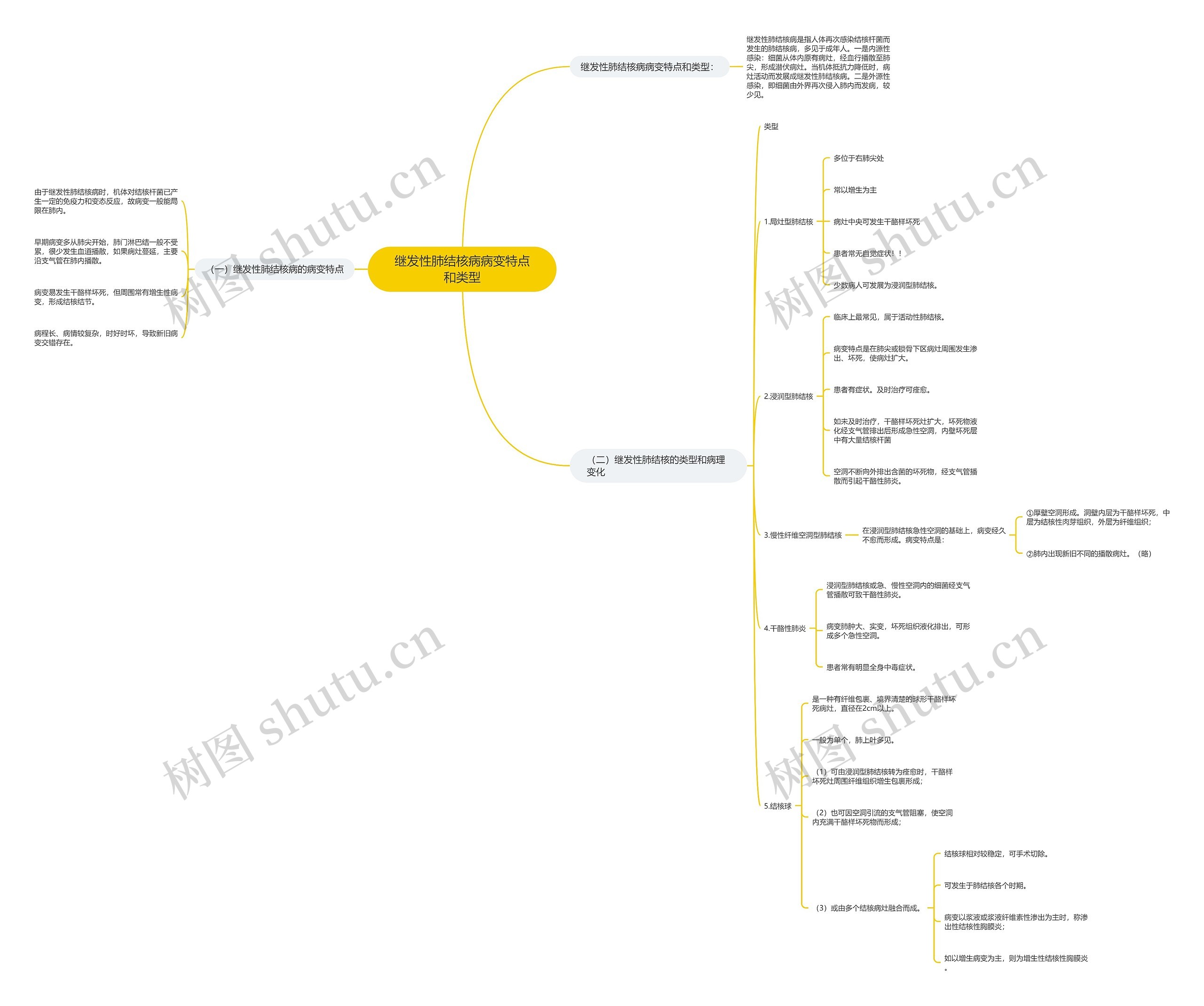 继发性肺结核病病变特点和类型 继发性肺结核病病变特点和类型