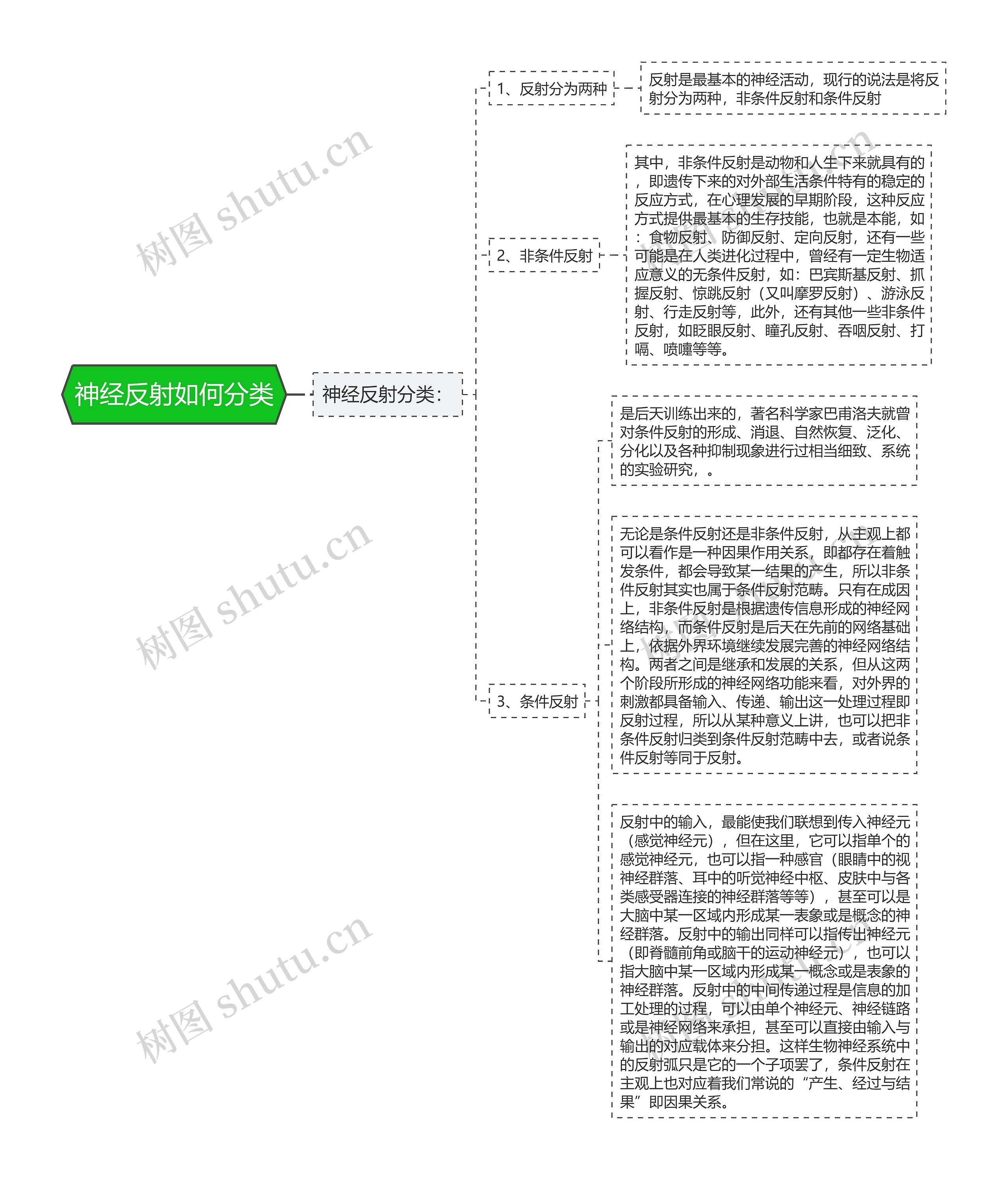 神经反射如何分类思维导图