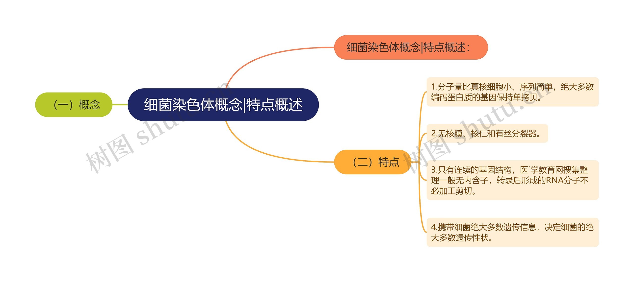 细菌染色体概念|特点概述思维导图