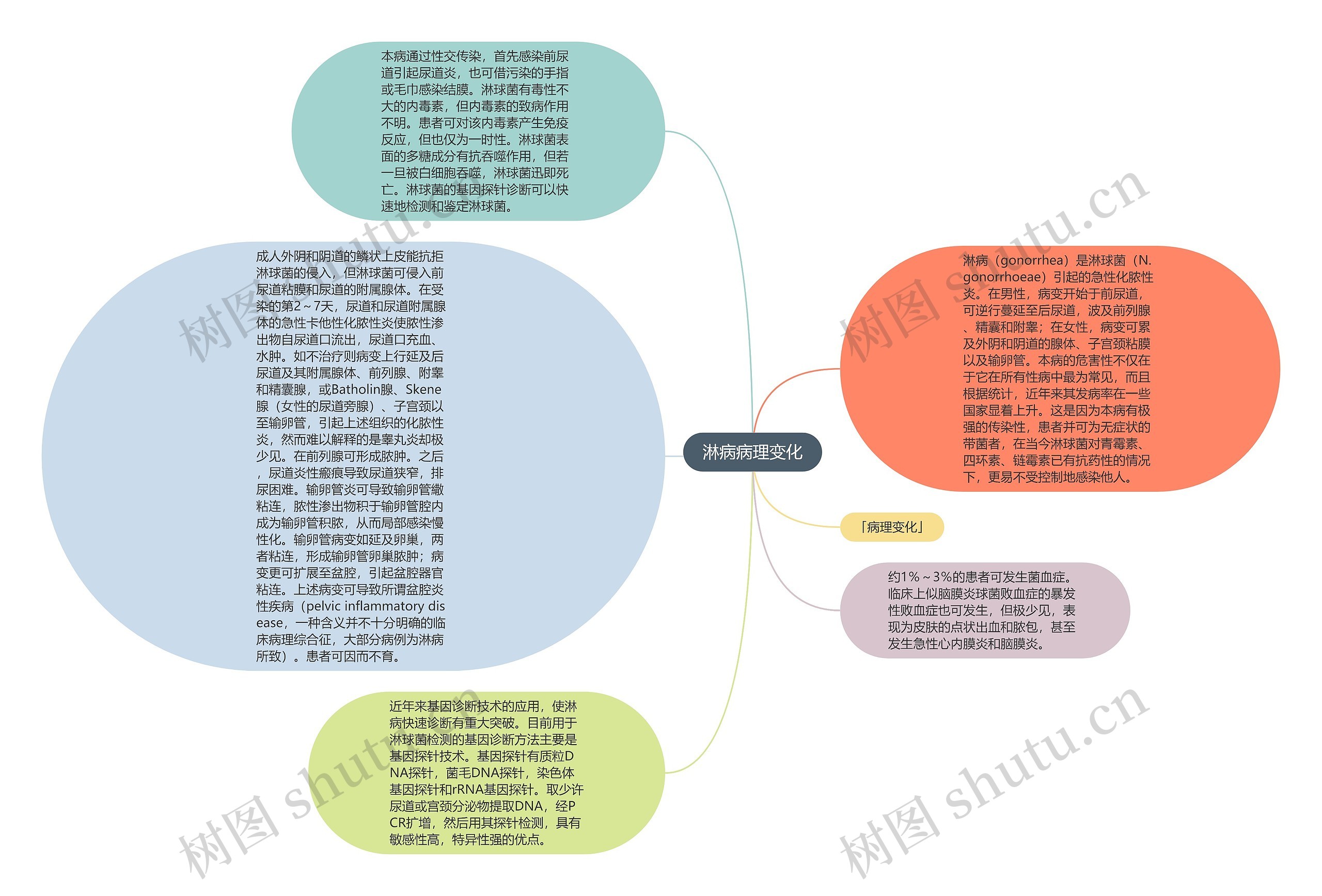 淋病病理变化