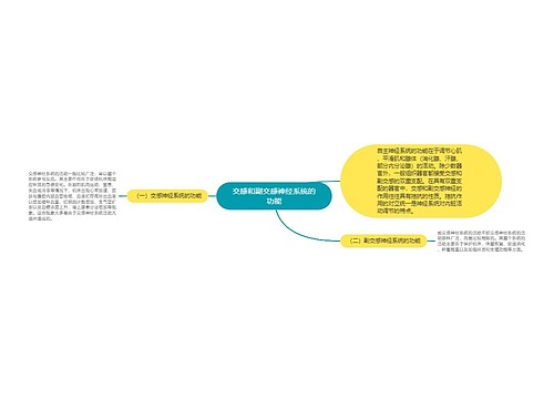 交感和副交感神经系统的功能