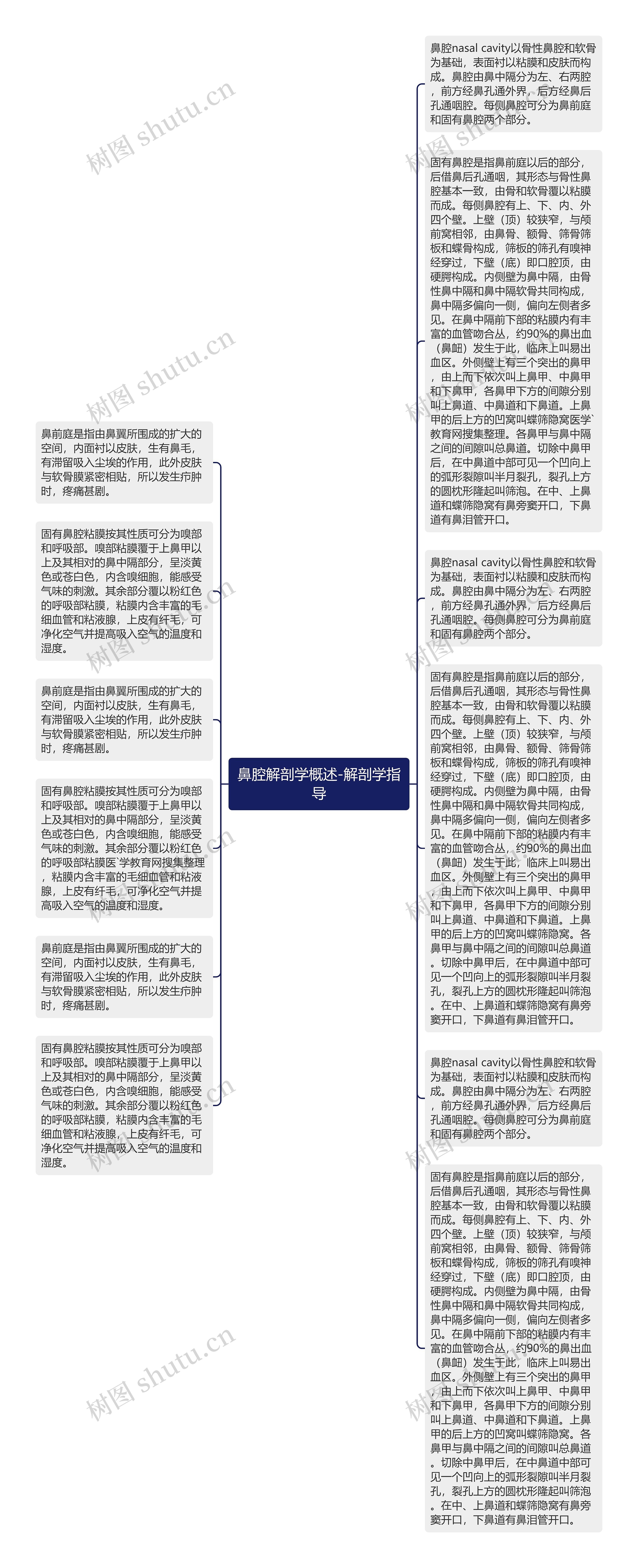 鼻腔解剖学概述-解剖学指导
