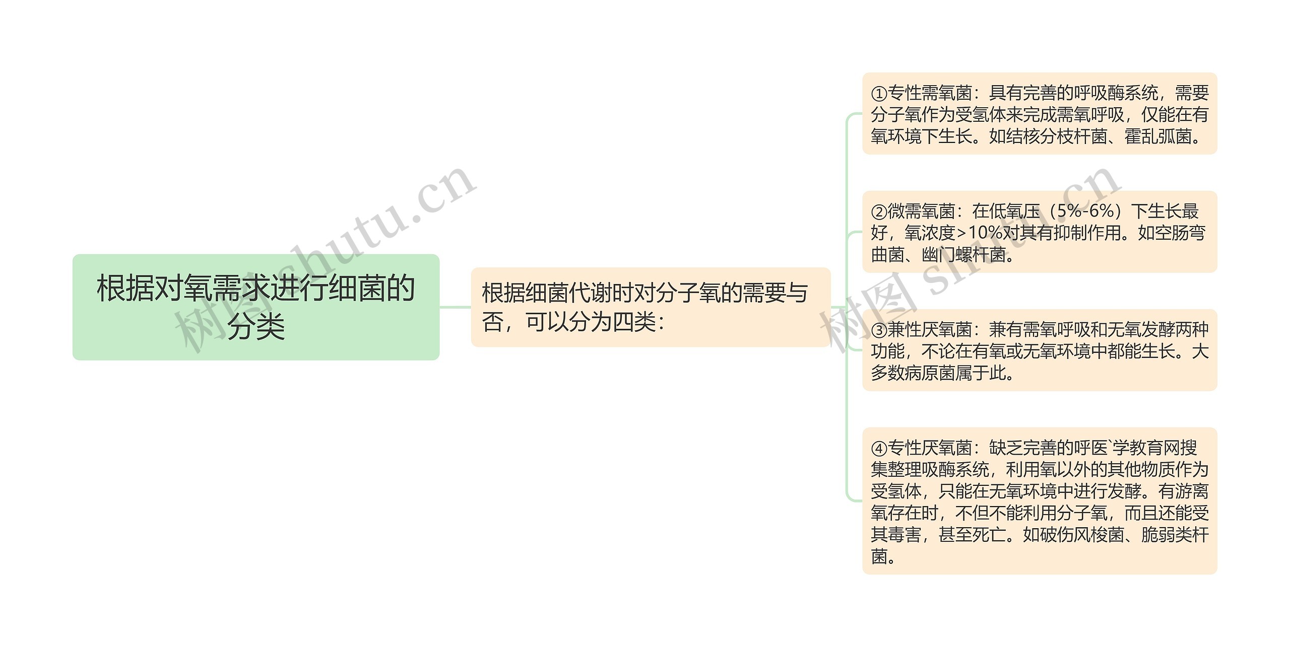 根据对氧需求进行细菌的分类思维导图