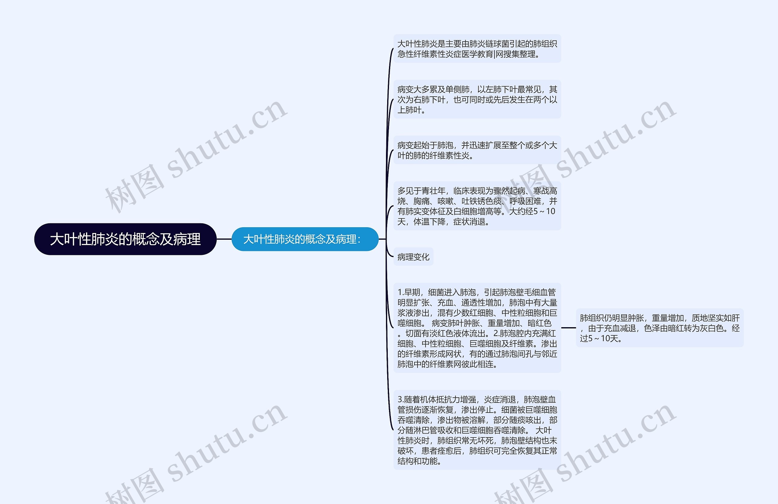 大叶性肺炎的概念及病理思维导图