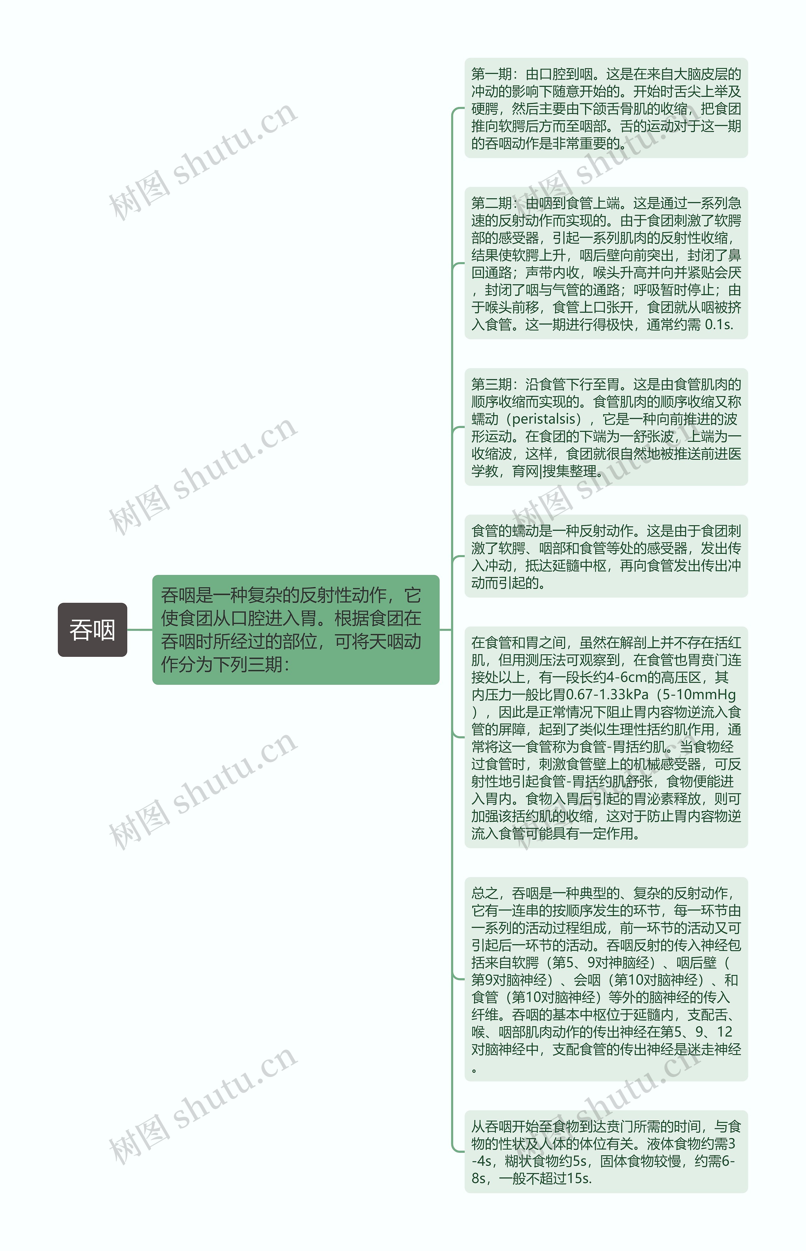 吞咽