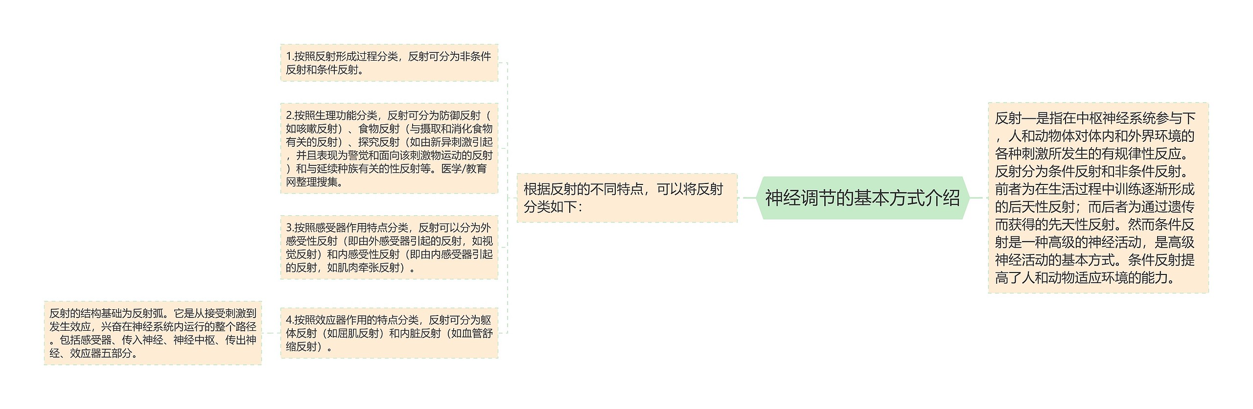 神经调节的基本方式介绍思维导图