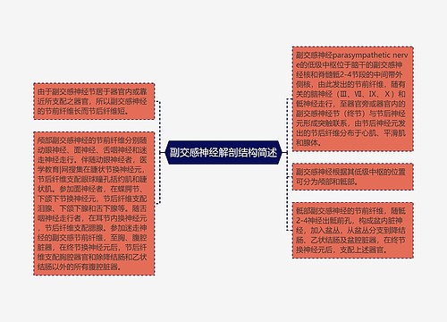 副交感神经解剖结构简述