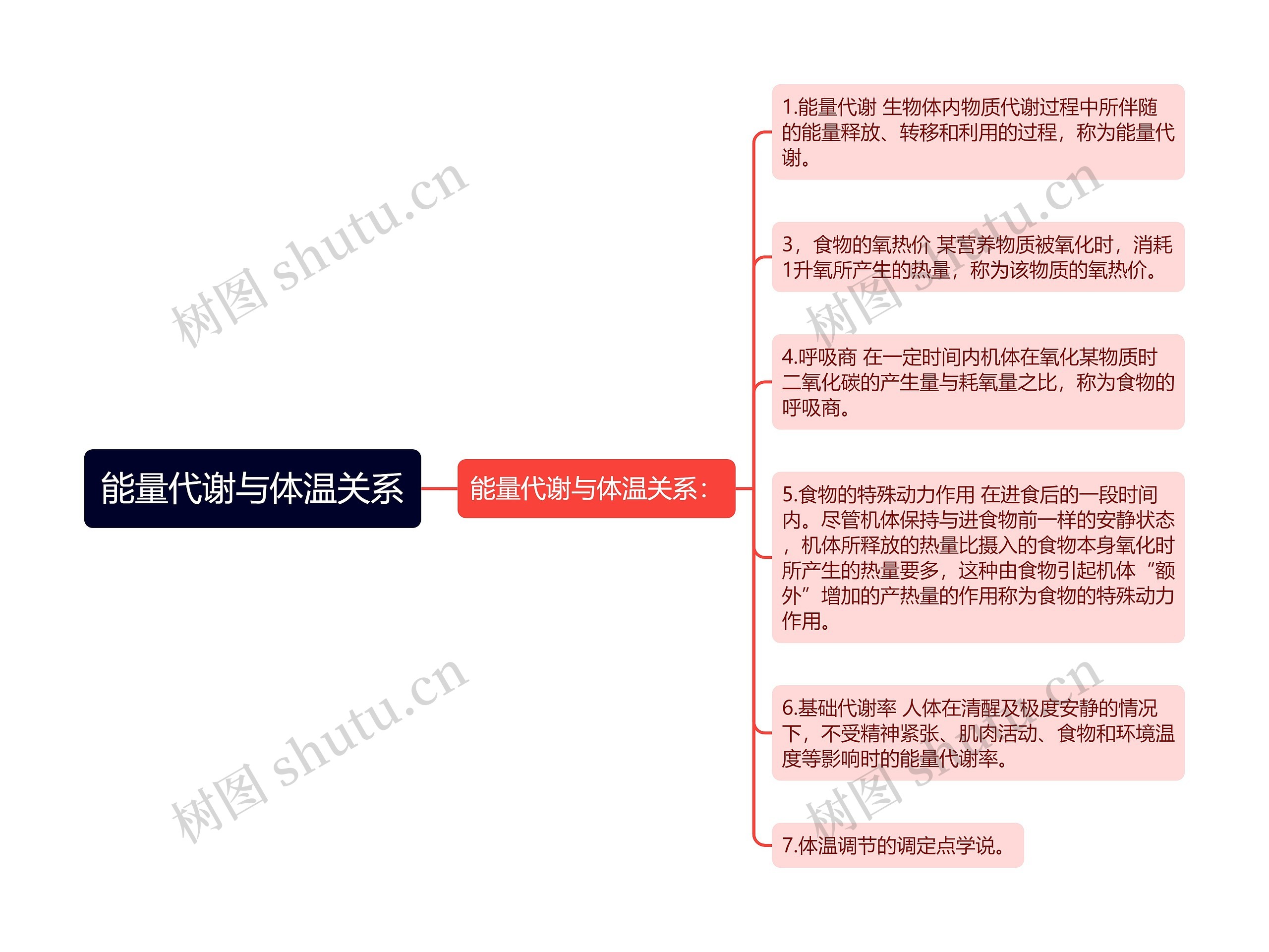 能量代谢与体温关系