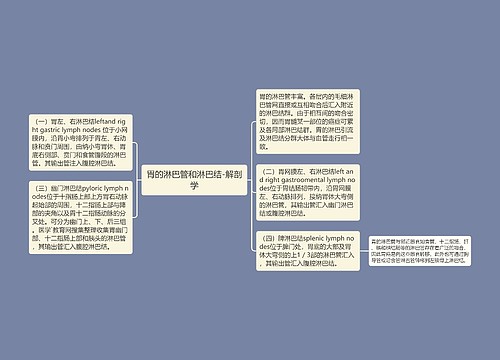 胃的淋巴管和淋巴结-解剖学