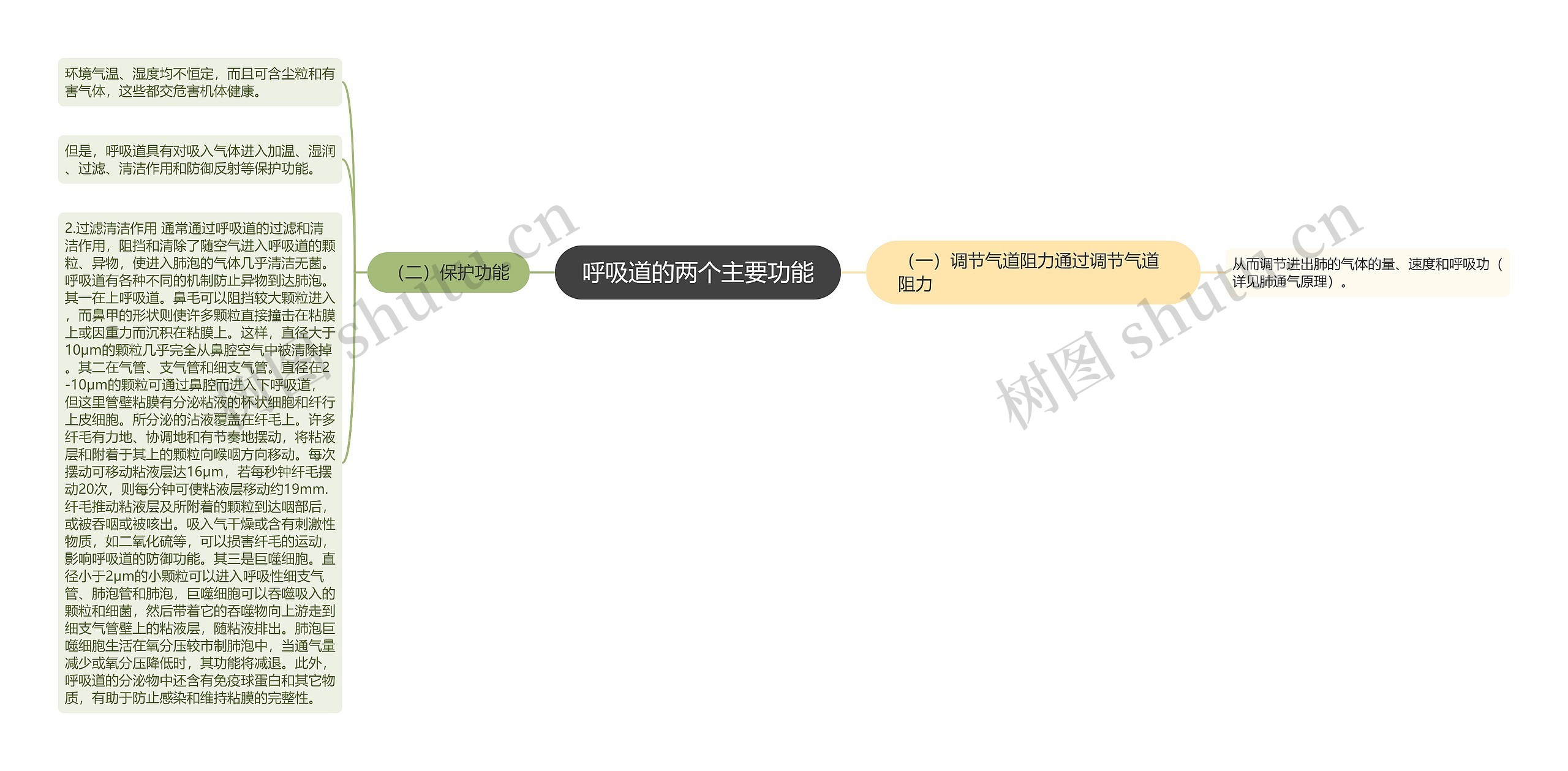 呼吸道的两个主要功能 呼吸道的两个主要功能