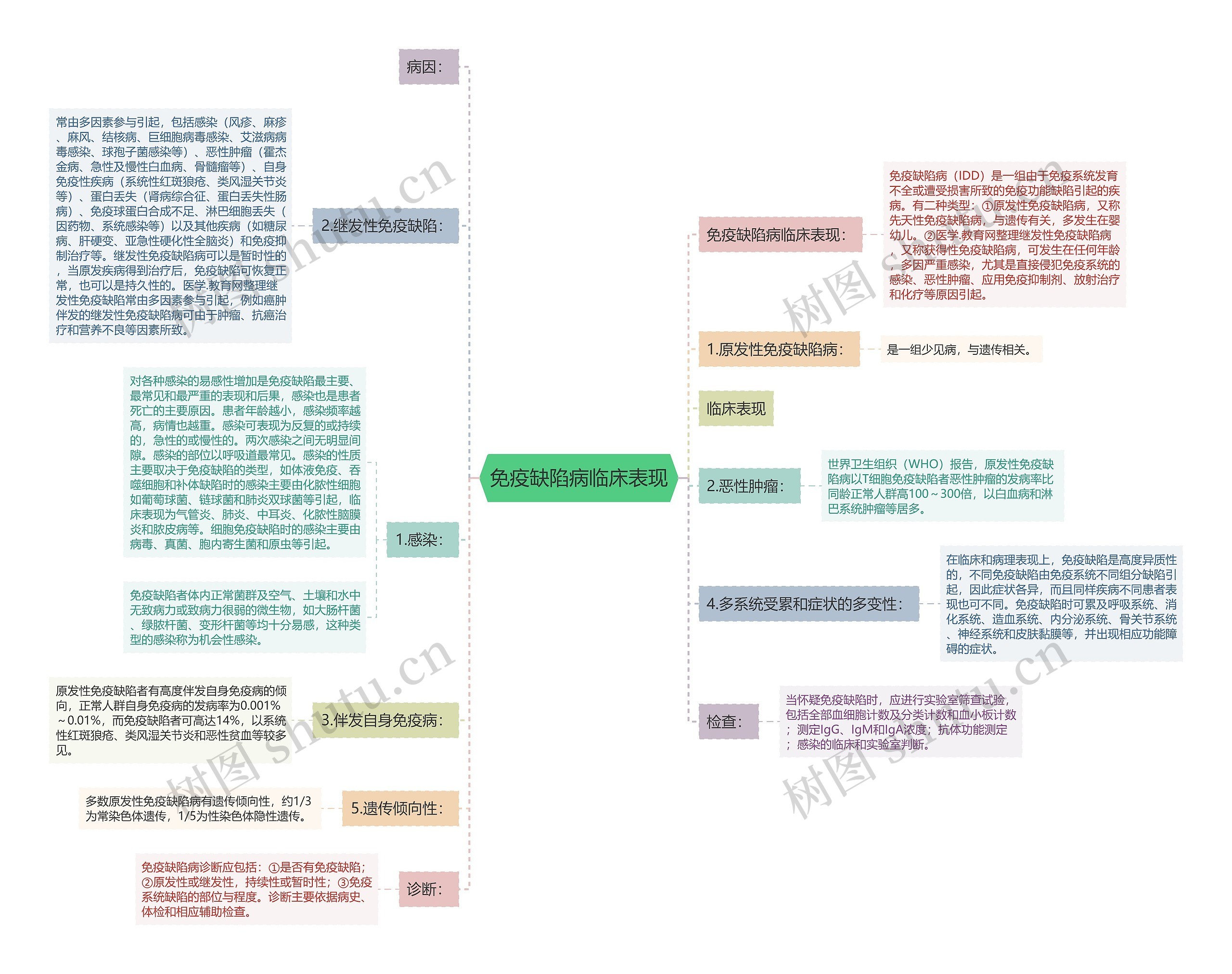 免疫缺陷病临床表现思维导图