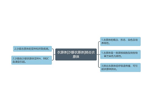 衣原体|沙眼衣原体|肺炎衣原体