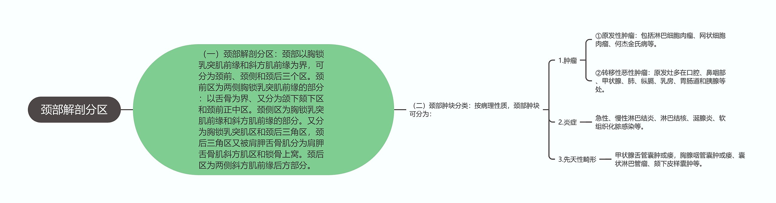 颈部解剖分区