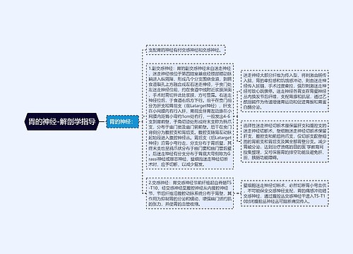 胃的神经-解剖学指导