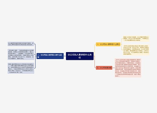 分公司法人要承担什么责任