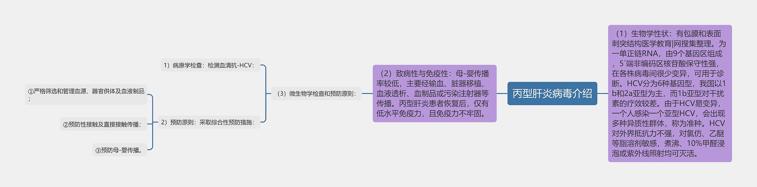 丙型肝炎病毒介绍