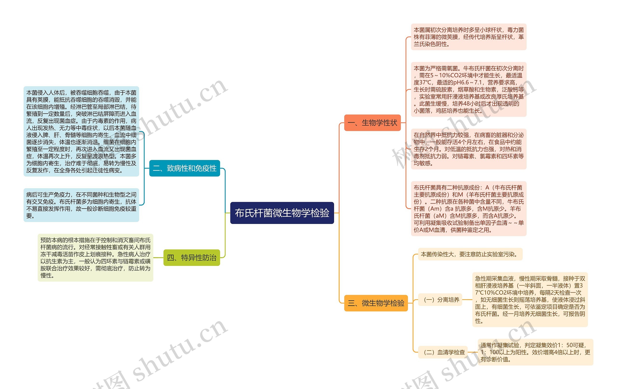 布氏杆菌微生物学检验思维导图高清图 布氏杆菌微生物学检验思维导图